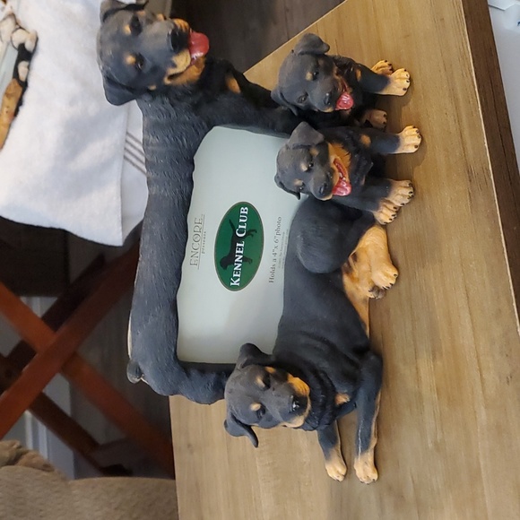 ENCORE ROTTWEILER - Picture 4 of 4